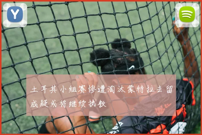 土耳其小组赛惨遭淘汰蒙特拉去留成疑或将继续执教